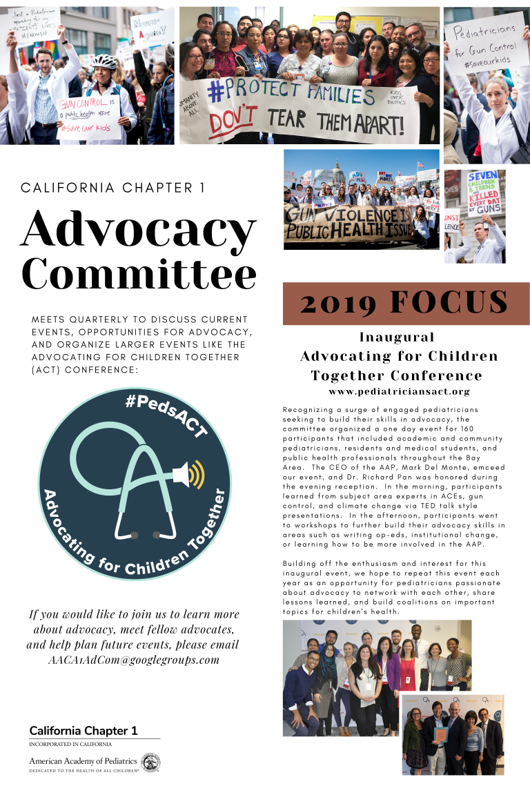 Advocacy Committee American Academy Of Pediatrics California Chapter 1 6939